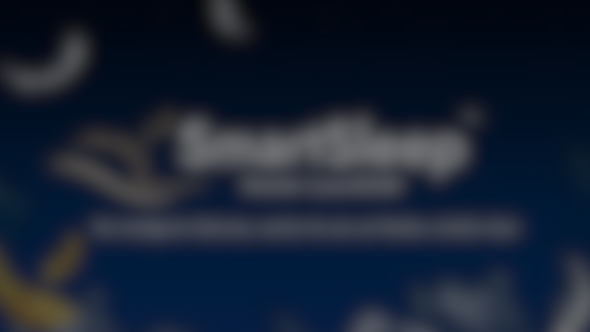 Präsentation eines Kundenprojekts – aus Datenschutzgründen bewusst unscharf dargestellt.