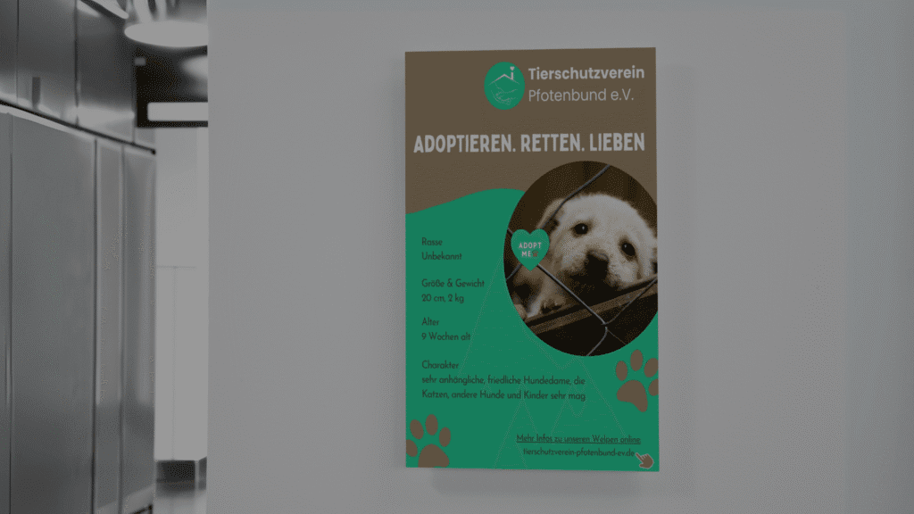 Poster-Mockup in einer Praxis – Aufruf zur Welpenvermittlung des Tierschutzvereins ‚Pfotenbund e.V.‘